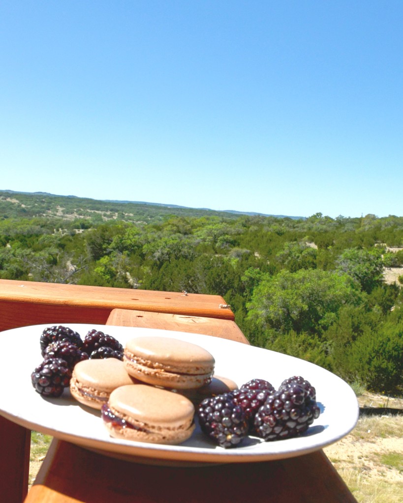 Chocolate Macarons with Raspberry Chipotle filling by Hi Lovely!