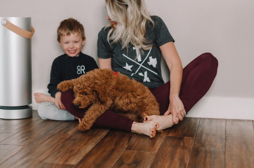 Molekule | Hi Lovely | Air Purifier | Molekule doesn’t just collect pollutants—it destroys them. Beautiful outside and groundbreaking inside.