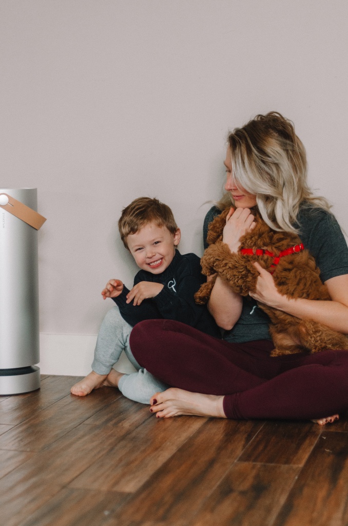 Molekule | Hi Lovely | Air Purifier | Molekule doesn’t just collect pollutants—it destroys them. Beautiful outside and groundbreaking inside.