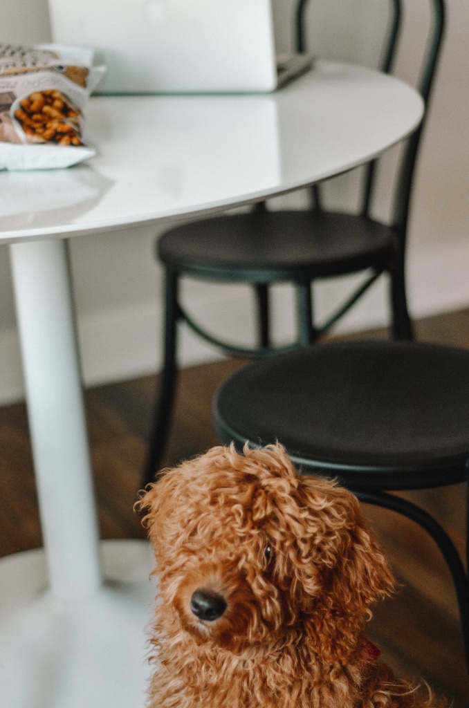 nutter puffs | popchips | peanut butter snack | Hi Lovely