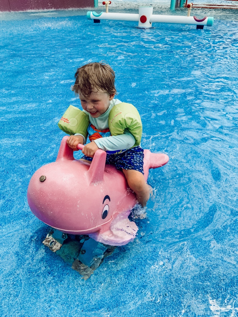 SeaWorld San Antonio tickets and tips | Hi Lovely