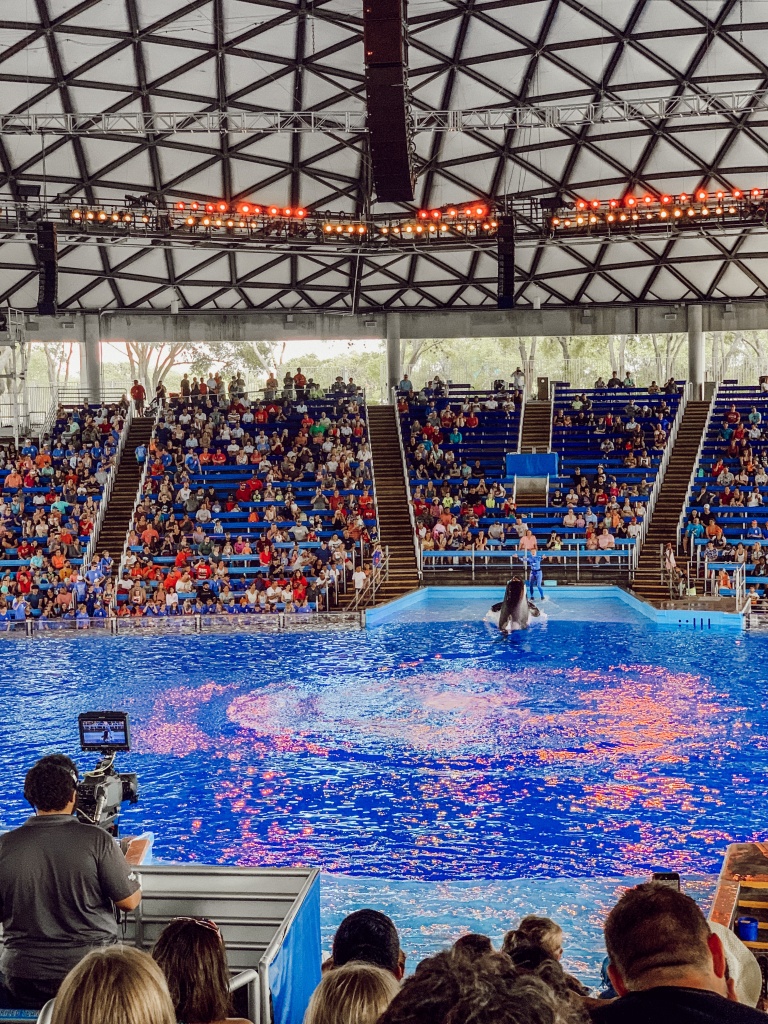 SeaWorld San Antonio tickets and tips | Hi Lovely