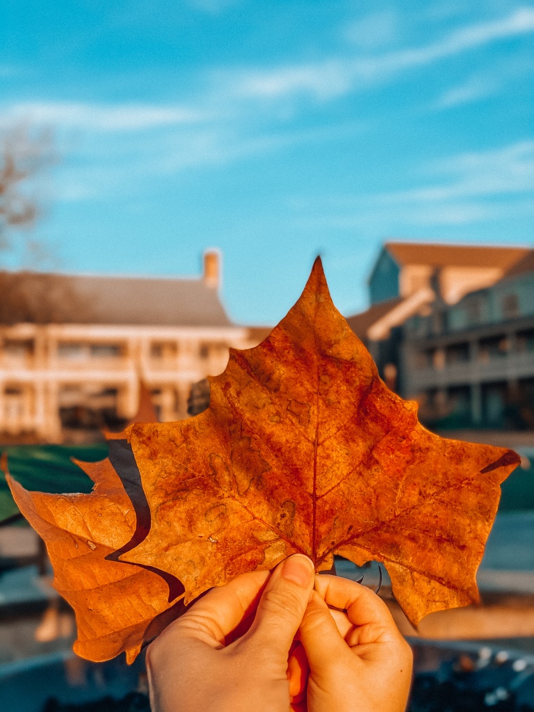 What to do in Bastrop | Hyatt Lost Pines | Hi Lovely | Guide to Bastrop