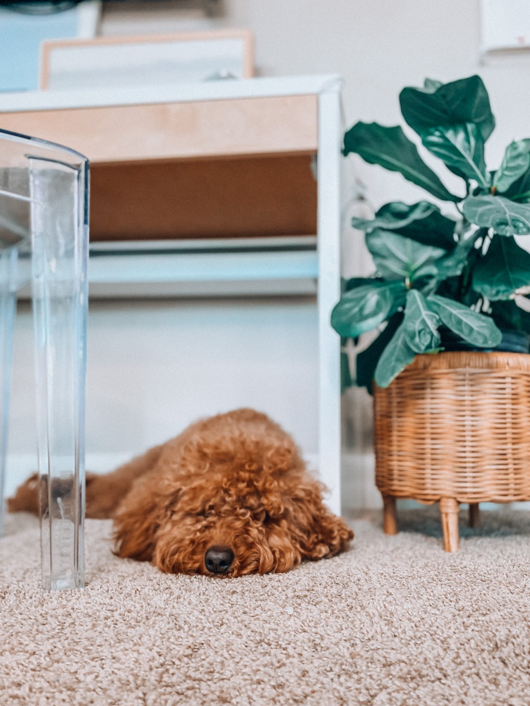 Home Office | GoDaddy LinkedIn Community Chat | Hi Lovely 