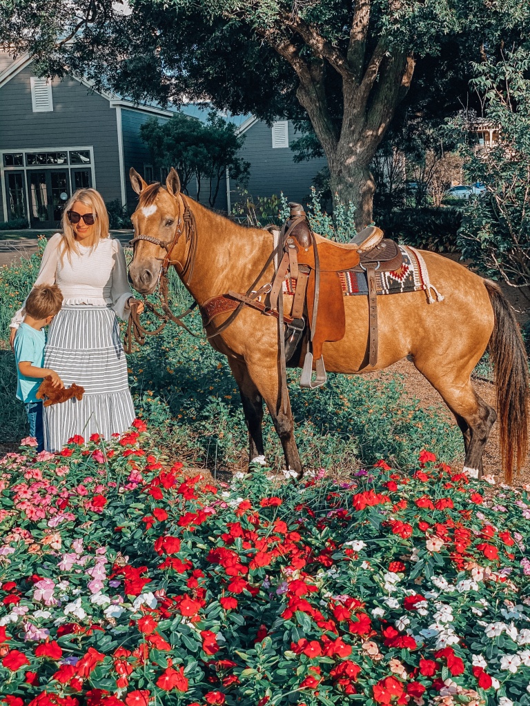 What to do in Bastrop | Hyatt Lost Pines | Hi Lovely | Guide to Bastrop