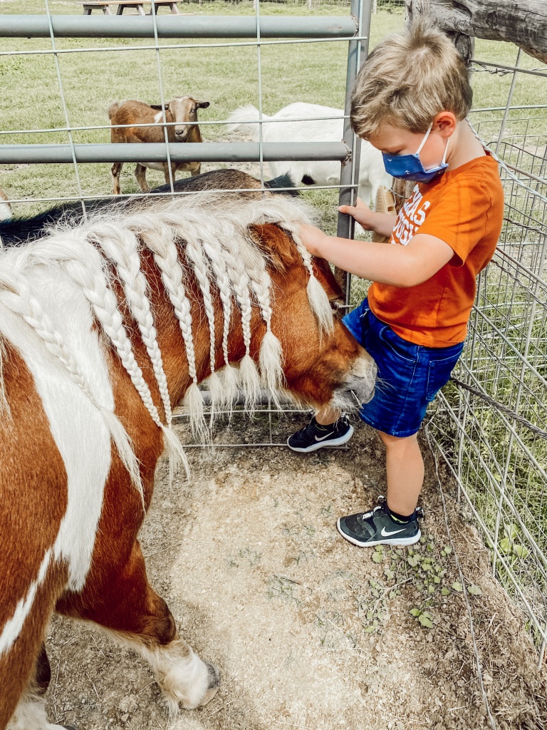 What to do in Bastrop | Hyatt Lost Pines | Hi Lovely | Guide to Bastrop