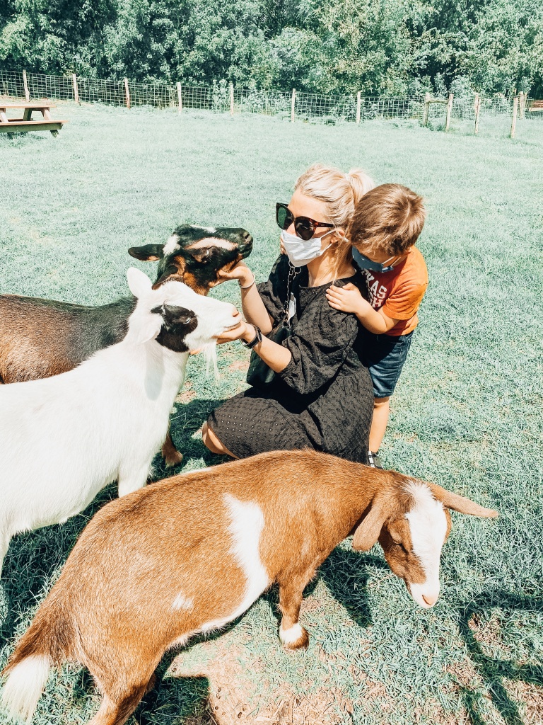 What to do in Bastrop | Hyatt Lost Pines | Hi Lovely | Guide to Bastrop